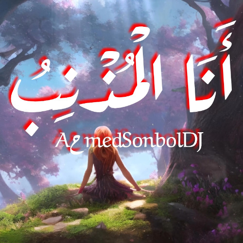 Aحmed Sonbol DJ | أَنَا الْمُذْنِبُ