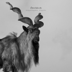 Mountain Goat