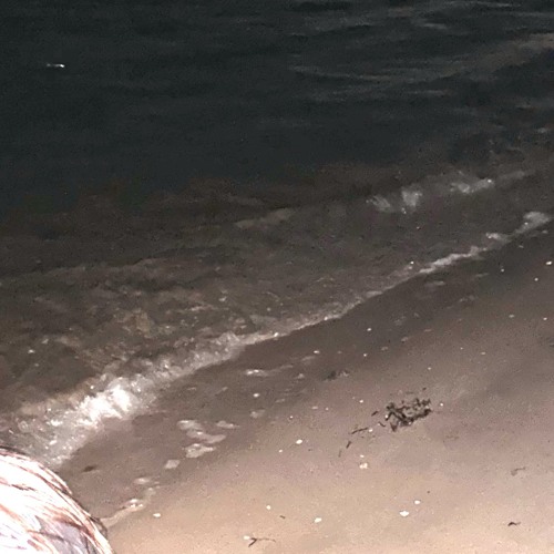 see how this would go [soul.xo]