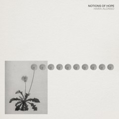 Hara Alonso - Notion 10