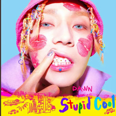 DAWN (던) - Stupid Cool