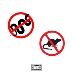 Snakes n Rats (prodsil)