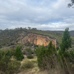 Murrumbidgee River Roam