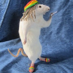 Mix Fess ka fe bang X Horny