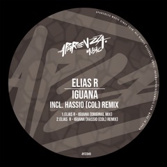 Elias R - Iguana (Original Mix)