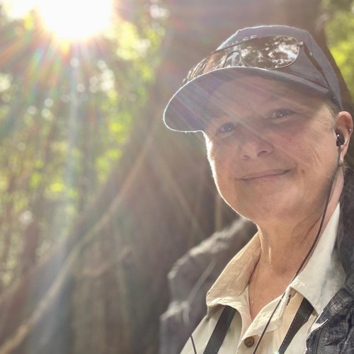 Sonic Byte - Wingham Brush Boardwalk