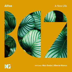Alfoa - A New Life (Nico Szabo Remix)