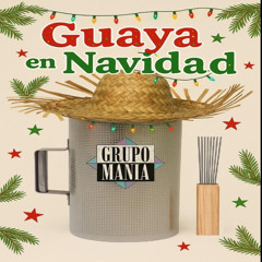 Guaya en Navidad