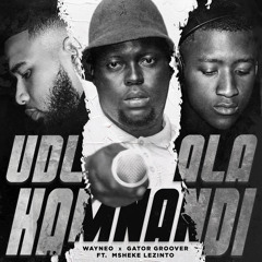 Udlala Kamnandi (Radio Edit) [feat. Msheke Lezinto]