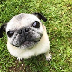 4 my hood feat. Joji