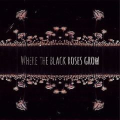 Where the Black Roses Grow (Prod. LethalNeedle)