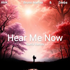 Alok, Bruno Martini Feat. Zeeba - Hear Me Now ( Sarix Remix )