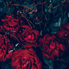 Paradise (prod. Mystrxy)