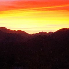 Cthulhu lost at desert