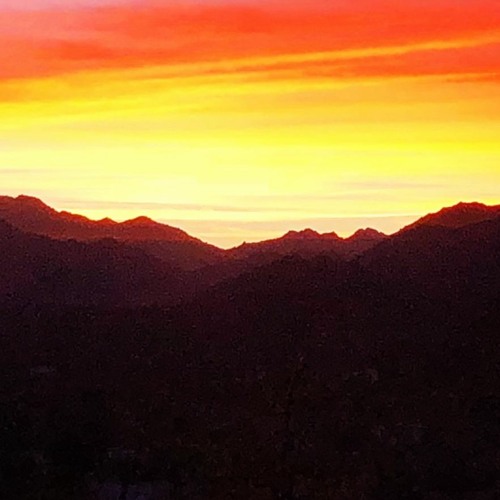 Cthulhu lost at desert