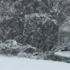 The Ice Storm
