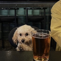 diorbag | ft. iHateRiq