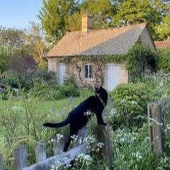 infrunami_steve lacy