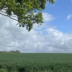 High Elms Radio Show - No 10 - The best in Progressive & Deep House