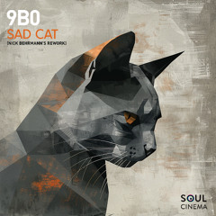 Premiere: 9b0  - Sad Cat (Nick Behrmann Remix) [Soul Cinema Records]