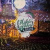 Tony Casanova | Maskenball | Milde Möhre 2020 DJ mix artwork - Electronic music tracklist cover image