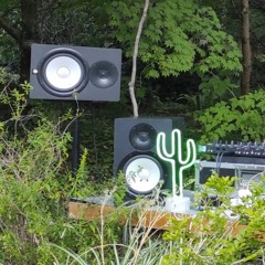 Dj Set Cheeta & R:ando @Opening Musee de l'absurde, Jardin Botanique Lausanne, Switzerland