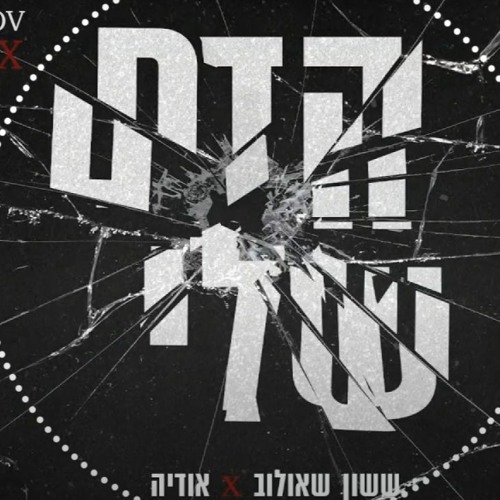 ששון איפרם שאולוב & אודיה - הדם שלי (David Kalantarov 'FINITO' Remix)