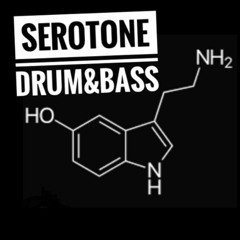 Serotone - DNB Subgenre-Mix 2024