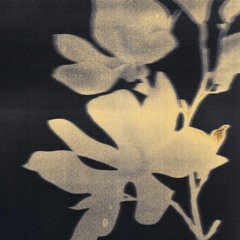 [PREMIERE] | Michmillet - Spring Flowers [01]