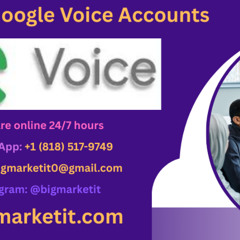 Google Voice: Business Phone Number & Systems