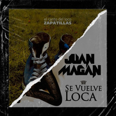 El Canto Del Loco X Juan Magan - Volverá X Se Vuelve Loca (David M Mashup)