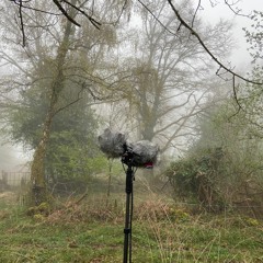 220330 · 8:30 am · A foggy morning at home · Saint-Silvain-sous-Toulx · Creuse · France