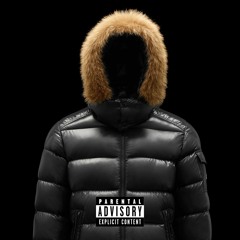 Moncler Mink