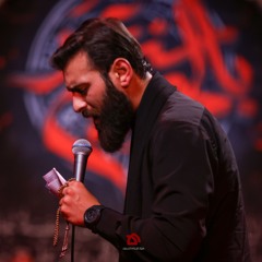 ساكن كربلاء | الرادود حسن عميص