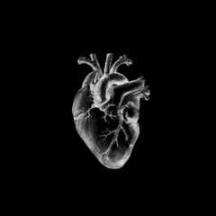 Phantom Vibrations, Vortex Reaper & Unobtainium - Endgame (Act 12)