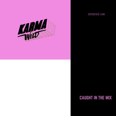 CAUGHT IN THE MIX - 108