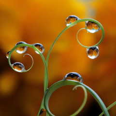 Rev. Joe Rettenmaier - "A New Ingathering"