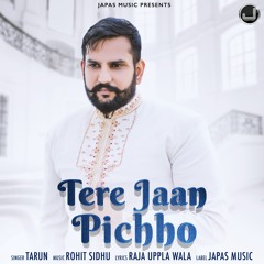 Tere Jaan Pichho
