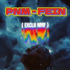 PNM - FE!N [EXCLU NMF]