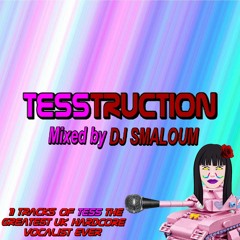 TESSTRUCTION (mixed by DJ SMALOUM)