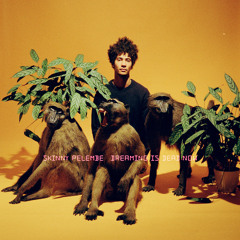 No Blacks, No Dogs, No Irish