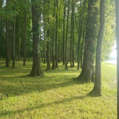 Wolves (Instrumental)