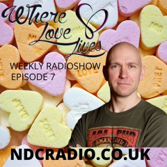 Where Love Lives Episode 7 DJ Paul Goodyear SanFranDisko