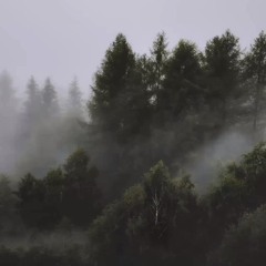 Overcast
