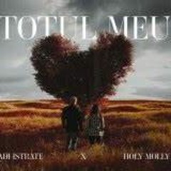 ADI x Holy Molly - Totul meu ( Alecks M. Remix )
