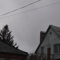 Frühling | FREE DOWNLOAD