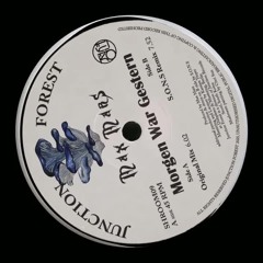 Max Mars - Morgen War Gestern (Original Mix)