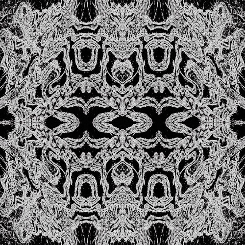 XX