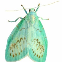 ocean eyes ix remix demo