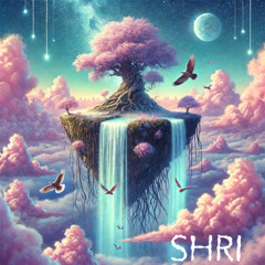 Midnight Stories 13 Guestmix SHRI